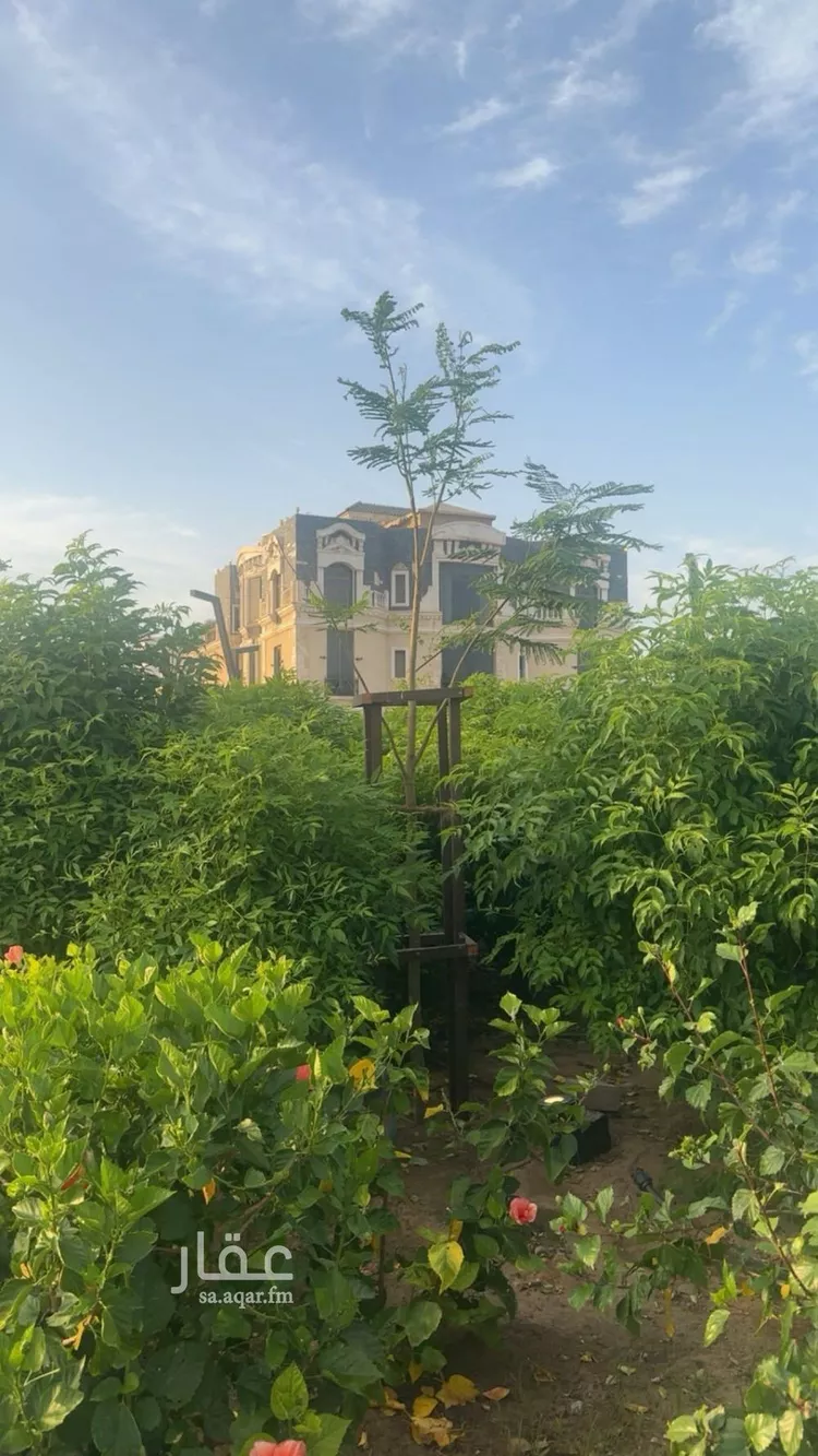 فيلا للبيع في شارع قطب الدين ابو الخير, حي المرجان, مدينة جدة, منطقة مكة المكرمة صورة 3