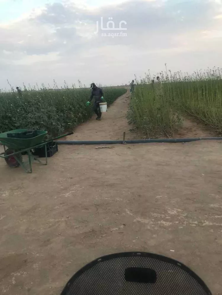 مزرعة للبيع في العدوة ، الشنان صورة 4