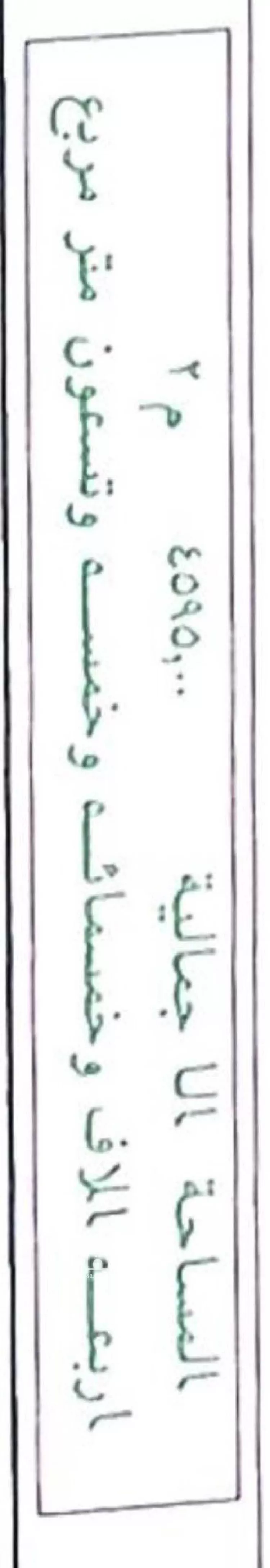 استراحة للبيع في شارع الكدره 898 ، الكدرة ، الدرب صورة 5