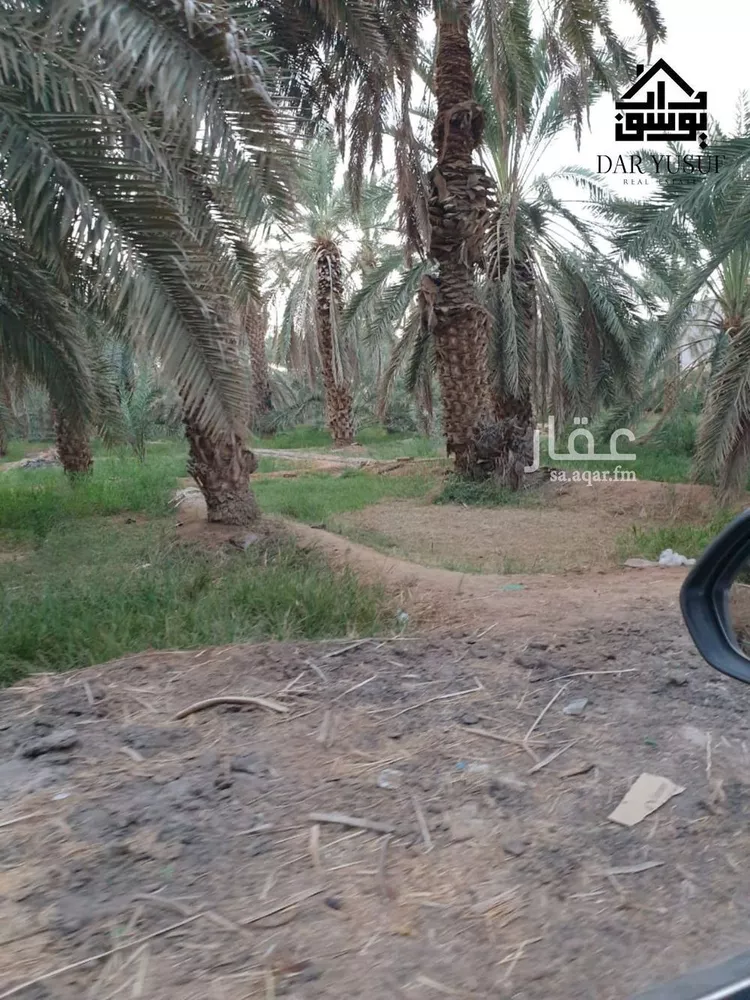 مزرعة للبيع في شارع عثمان ابن عفان, حي وادي الحمض, مدينة المدينة المنورة, منطقة المدينة المنورة 7