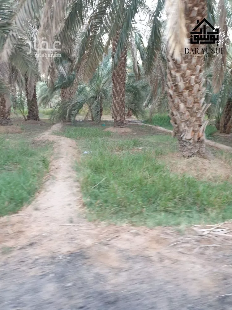 مزرعة للبيع في شارع عثمان ابن عفان, حي وادي الحمض, مدينة المدينة المنورة, منطقة المدينة المنورة 9