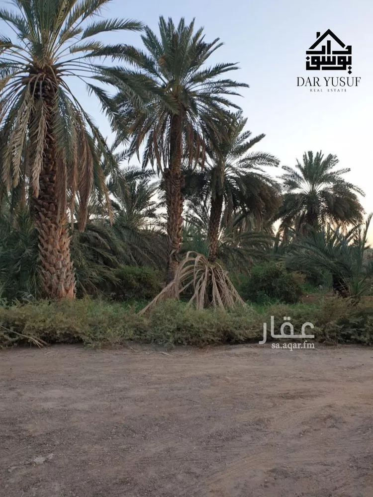 مزرعة للبيع في شارع عثمان ابن عفان, حي وادي الحمض, مدينة المدينة المنورة, منطقة المدينة المنورة 8