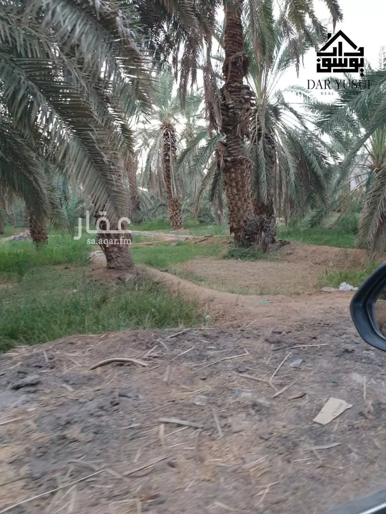 مزرعة للبيع في شارع عثمان ابن عفان, حي وادي الحمض, مدينة المدينة المنورة, منطقة المدينة المنورة صورة 2