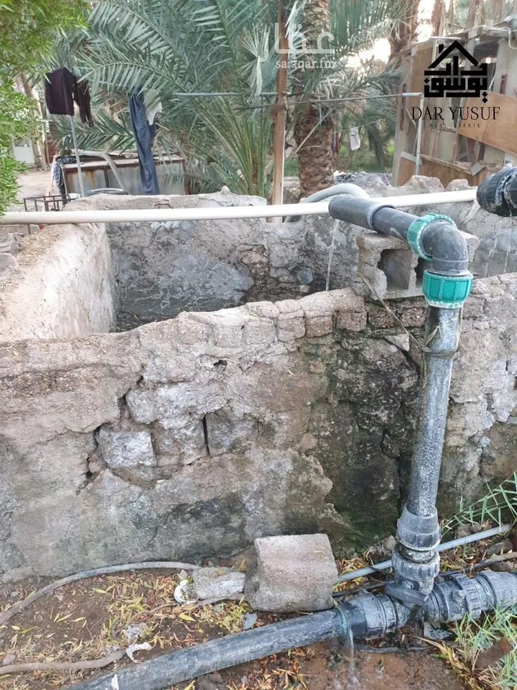 مزرعة للبيع في شارع عثمان ابن عفان, حي وادي الحمض, مدينة المدينة المنورة, منطقة المدينة المنورة صورة 5