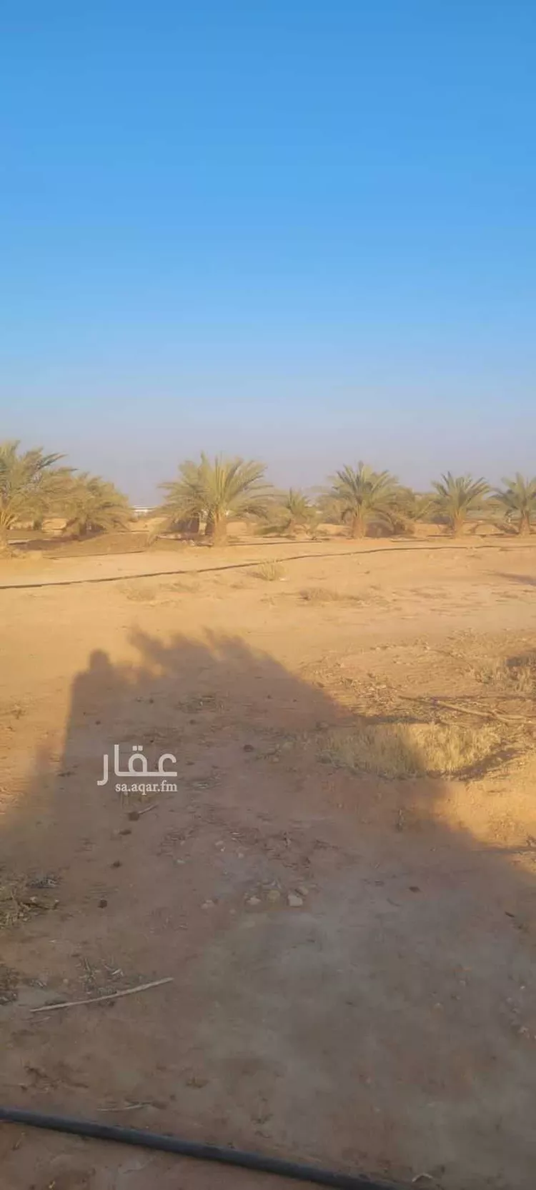 مزرعة للبيع في شارع حمد بن عتيق, حي دقله, مدينة دقله, منطقة الرياض صورة 4