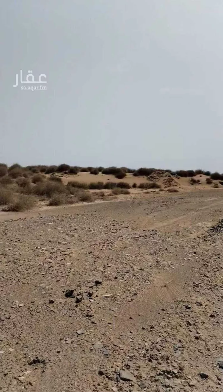 أرض للبيع في حي الناصرية 4, مدينة جازان, منطقة جازان صورة 3