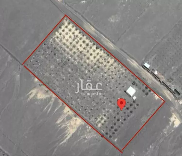 مزرعة للبيع في شارع المليليح 937 ، الجفدور ، منطقة المدينة المنورة صورة 2