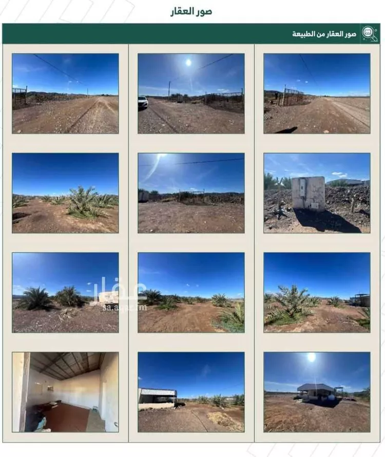 مزرعة للبيع في شارع المليليح 937 ، الجفدور ، منطقة المدينة المنورة