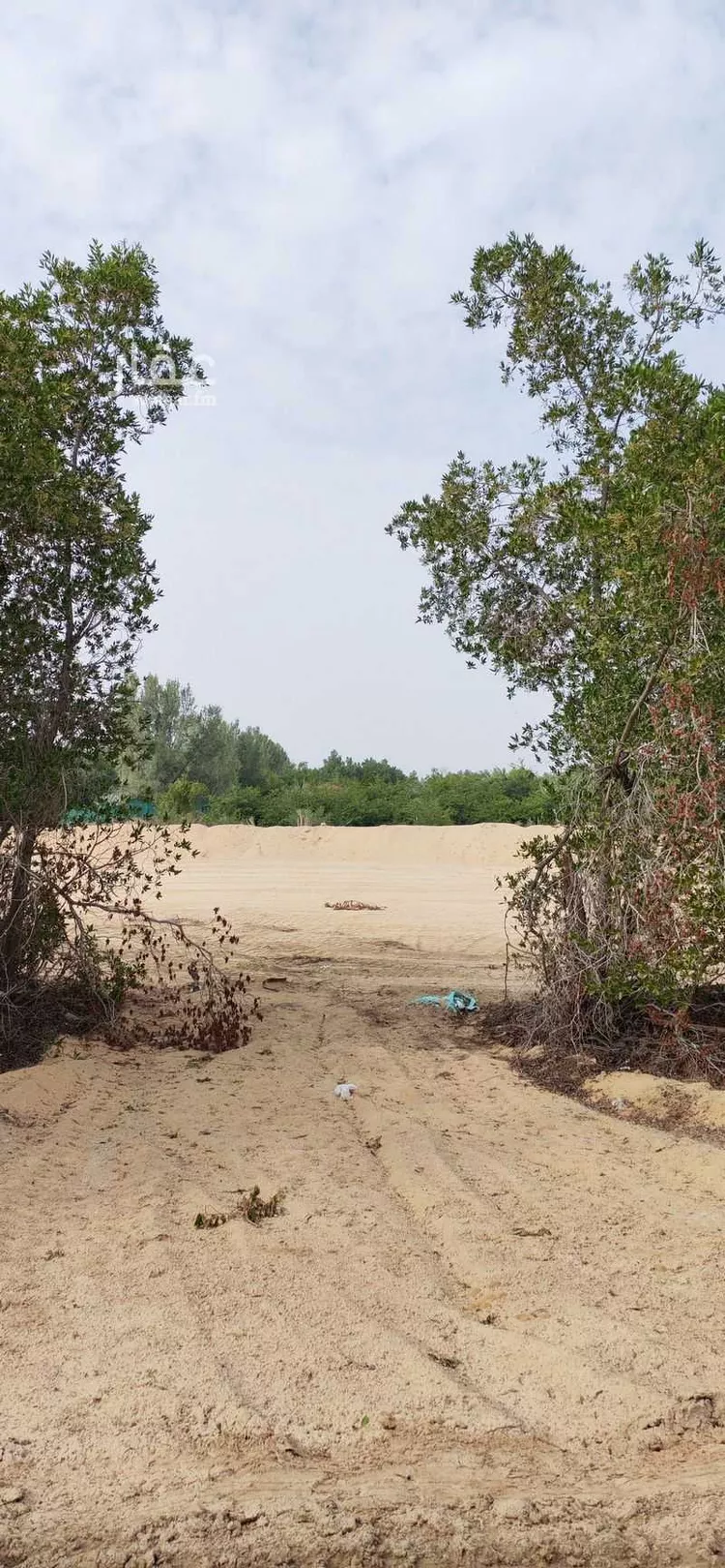 أرض للإيجار في شارع الغويبة ، الغويبة ، الاحساء صورة 4