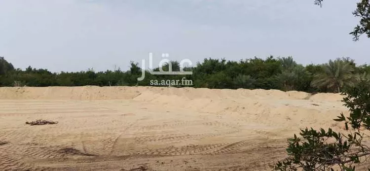 أرض للإيجار في شارع الغويبة ، الغويبة ، الاحساء صورة 5