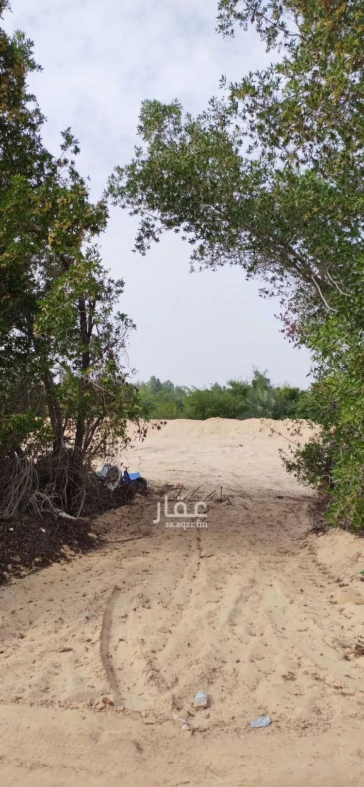 أرض للإيجار في شارع الغويبة ، الغويبة ، الاحساء صورة 2