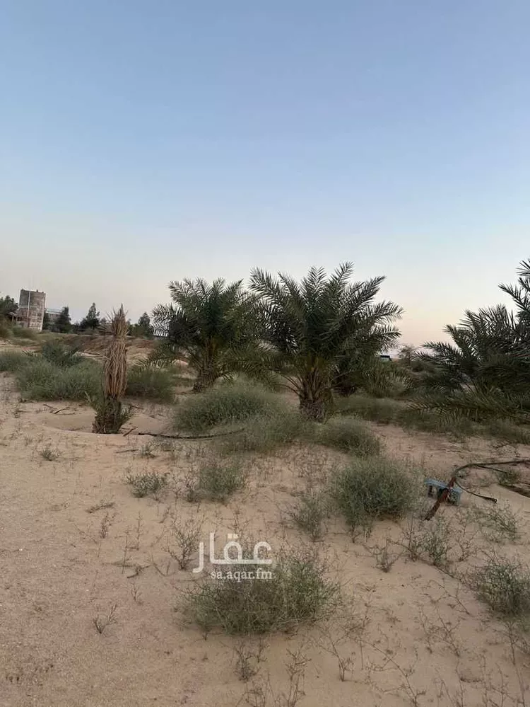 مزرعة للبيع في حي الرافعيه, مدينة الرافعيه, المنطقة الشرقية 13