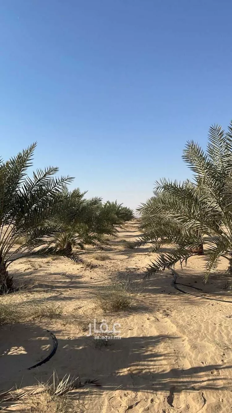 مزرعة للبيع في حي الرافعيه, مدينة الرافعيه, المنطقة الشرقية صورة 4