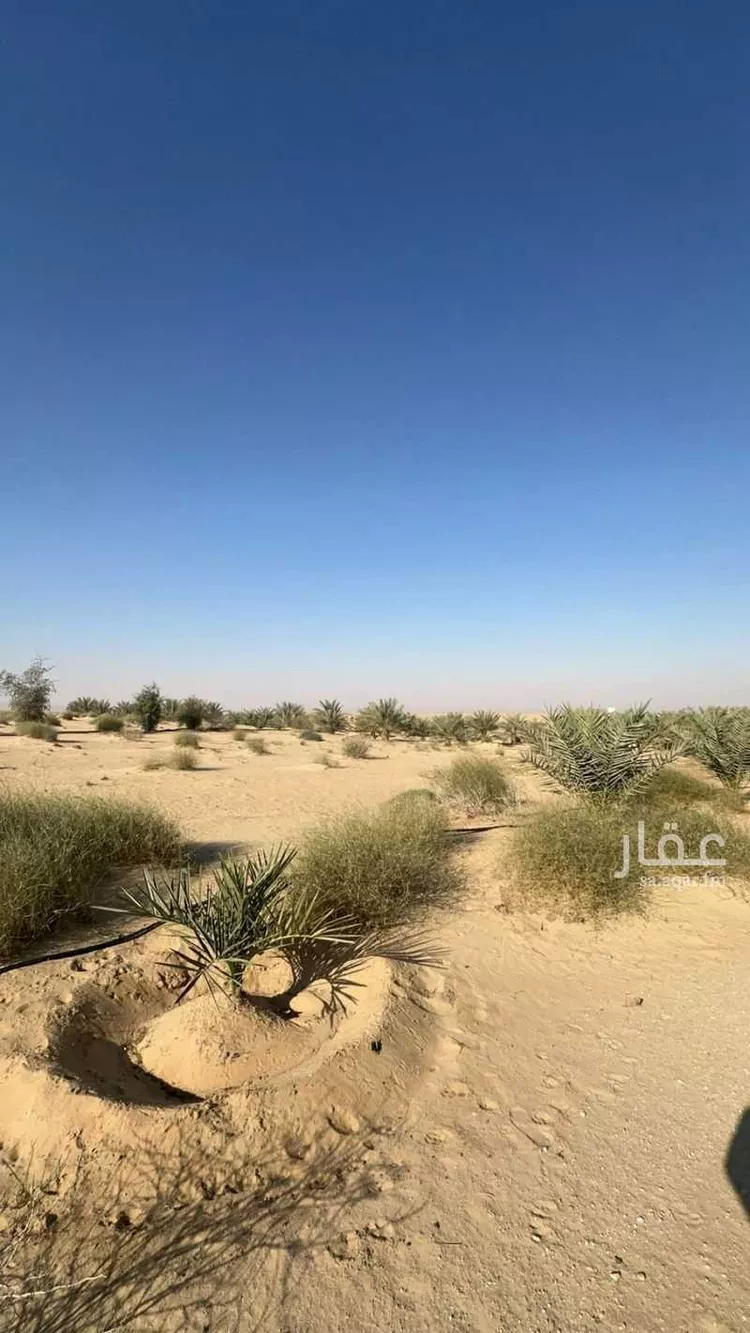 مزرعة للبيع في حي الرافعيه, مدينة الرافعيه, المنطقة الشرقية صورة 2