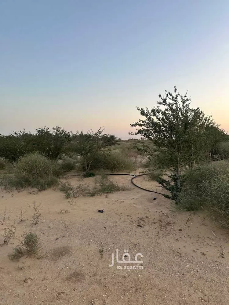 مزرعة للبيع في حي الرافعيه, مدينة الرافعيه, المنطقة الشرقية 12