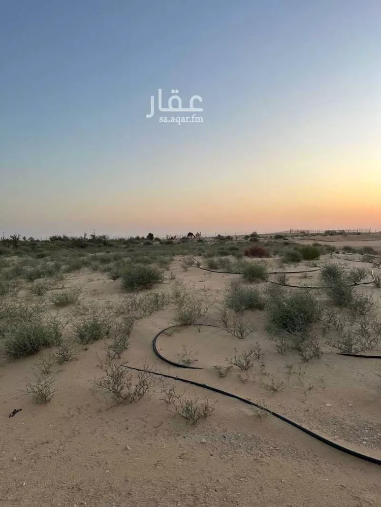 مزرعة للبيع في حي الرافعيه, مدينة الرافعيه, المنطقة الشرقية 15