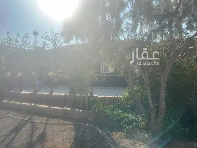 غرفة للإيجار في جدة ، جدة ، 23767، 6