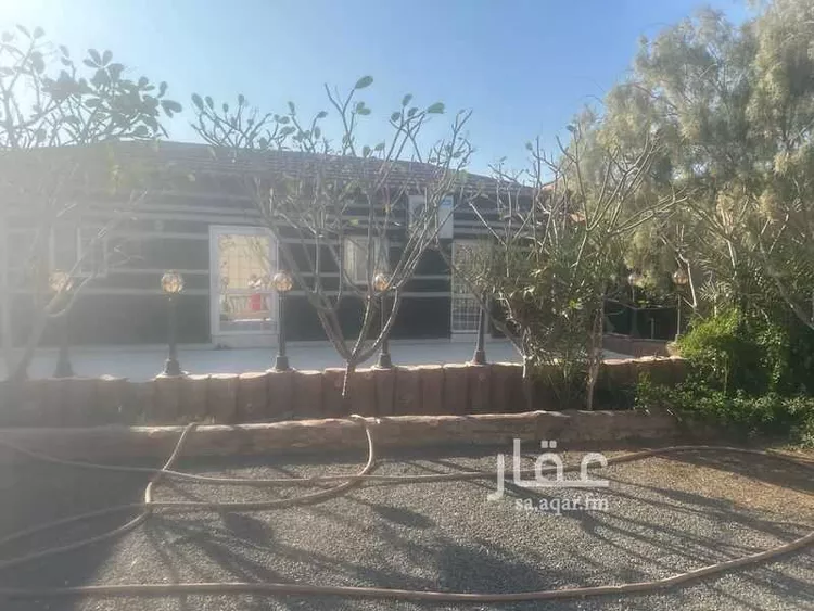 غرفة للإيجار في جدة ، جدة ، 23767، 7
