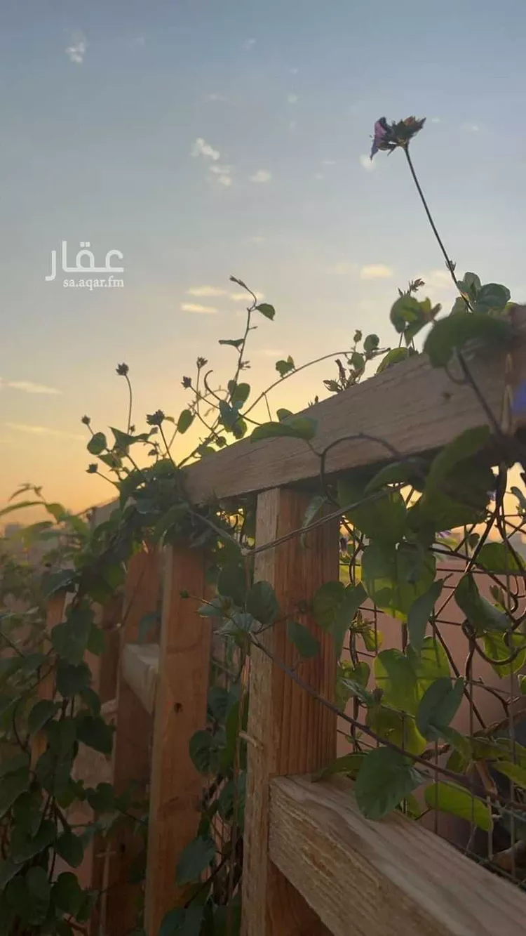 شقة للإيجار في شارع عكا, حي الفلاح, مدينة الرياض, منطقة الرياض صورة 2