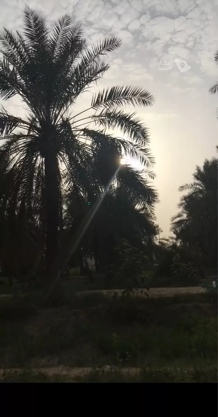 مزرعة للبيع في شارع 22441764, حي أم سبعة, مدينة الاحساء, المنطقة الشرقية
