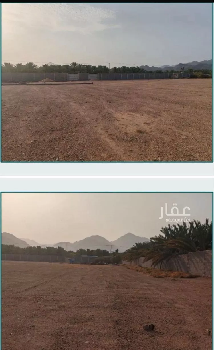 أرض للبيع في شارع المندسه, حي المندسة, مدينة المدينة المنورة, منطقة المدينة المنورة صورة 2