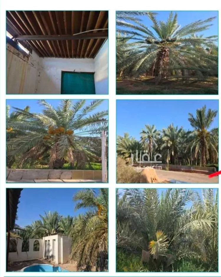 Farm for Sale in Medina Kittanah