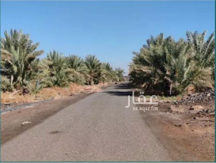 مزرعة للبيع في حي أم السيوف, مدينة المدينة المنورة, منطقة المدينة المنورة