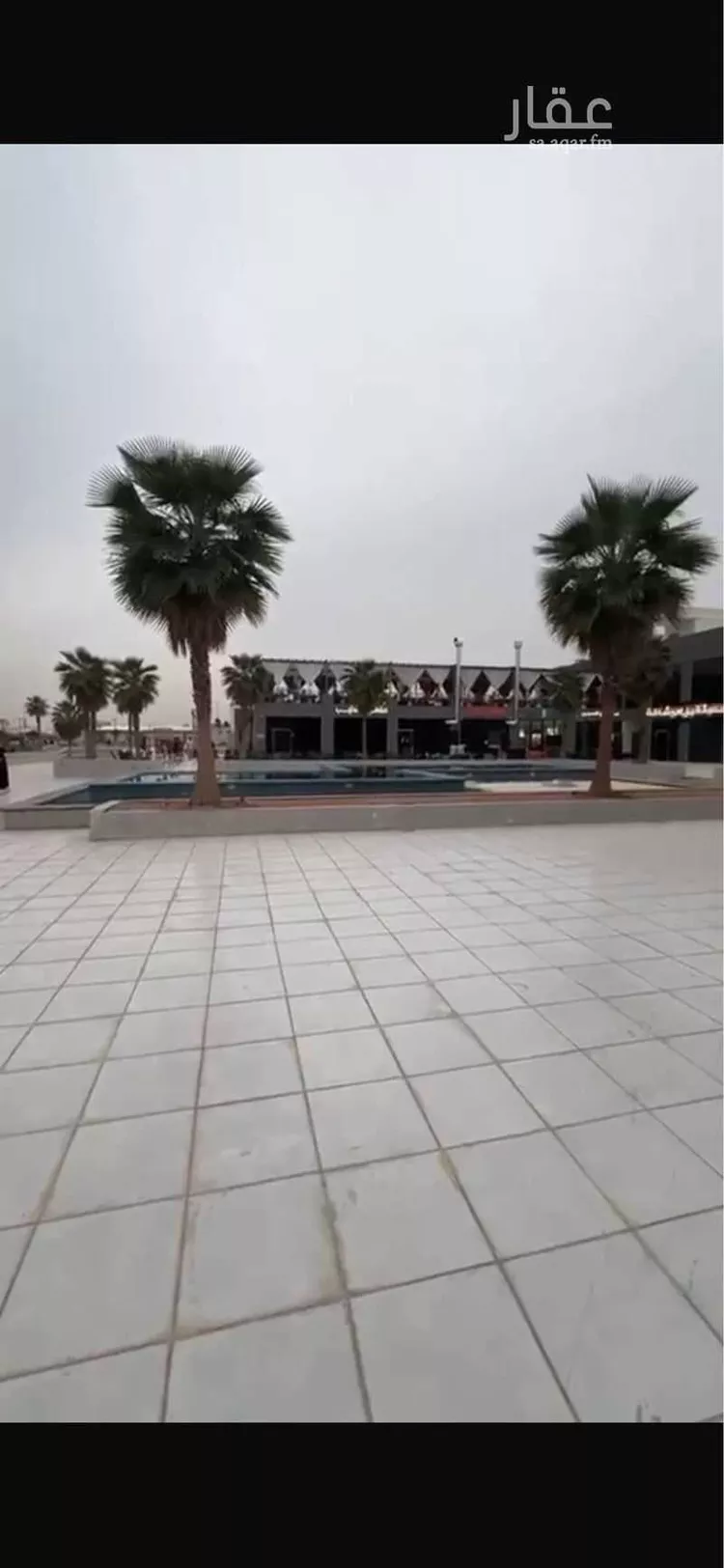 محل للإيجار في شارع الامير سلطان ابن عبدالعزيز, حي القصواء, مدينة المدينة المنورة, منطقة المدينة المنورة صورة 3