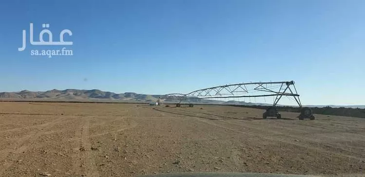 مزرعة للبيع في تبوك ، منطقة تبوك صورة 2