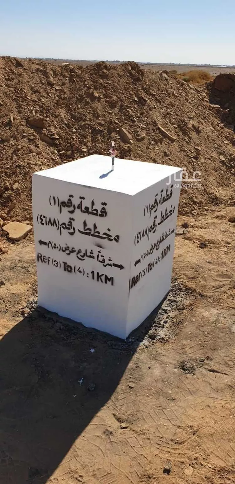 مزرعة للبيع في تبوك ، منطقة تبوك صورة 4