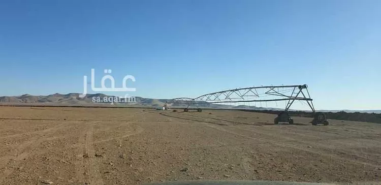 مزرعة للبيع في تبوك ، منطقة تبوك صورة 2