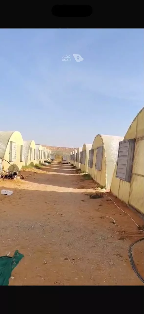 مزرعة للبيع في حي مزارع وادي وراط, مدينة مزارع وادي وراط, منطقة الرياض