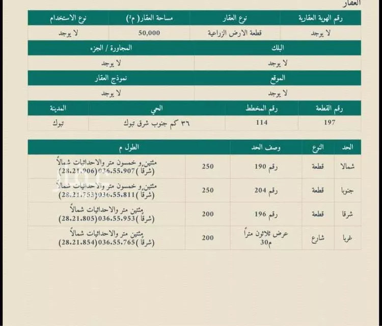 مزرعة للبيع في حي مزارع جنوب طريق المدينه (الاولى), مدينة مزارع جنوب طريق المدينه (الاولى), منطقة تبوك صورة 2