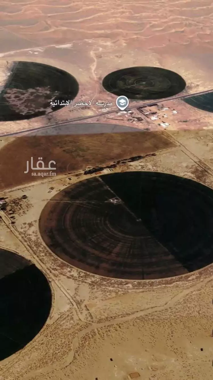 مزرعة للبيع في حي مزارع جنوب طريق المدينه (الاولى), مدينة مزارع جنوب طريق المدينه (الاولى), منطقة تبوك