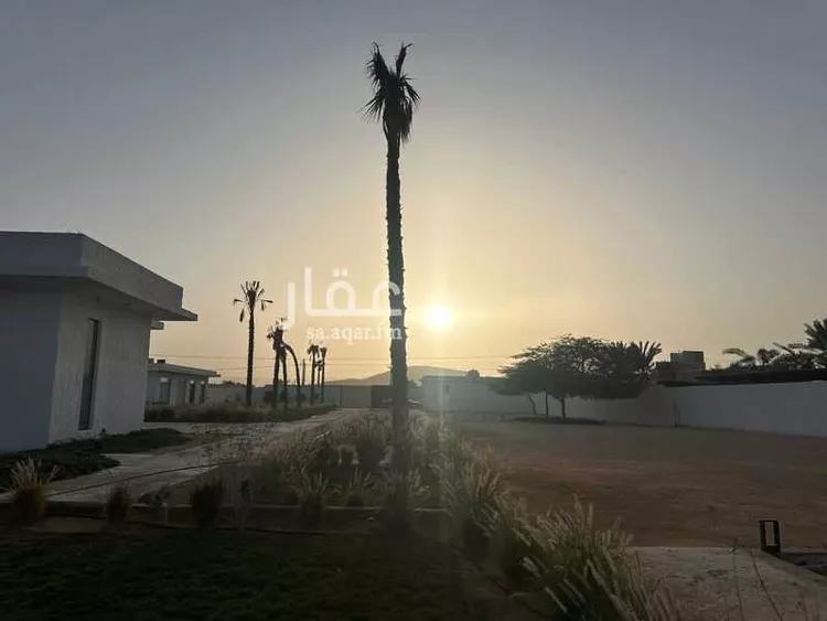 استراحة للإيجار في شارع انس ابن ارقم ابن زيد, حي قصور ال مقبل, مدينة مزارع البطين ومزرعه دواجن, منطقة الرياض صورة 2