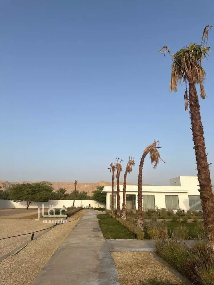 استراحة للإيجار في شارع انس ابن ارقم ابن زيد, حي قصور ال مقبل, مدينة مزارع البطين ومزرعه دواجن, منطقة الرياض صورة 2