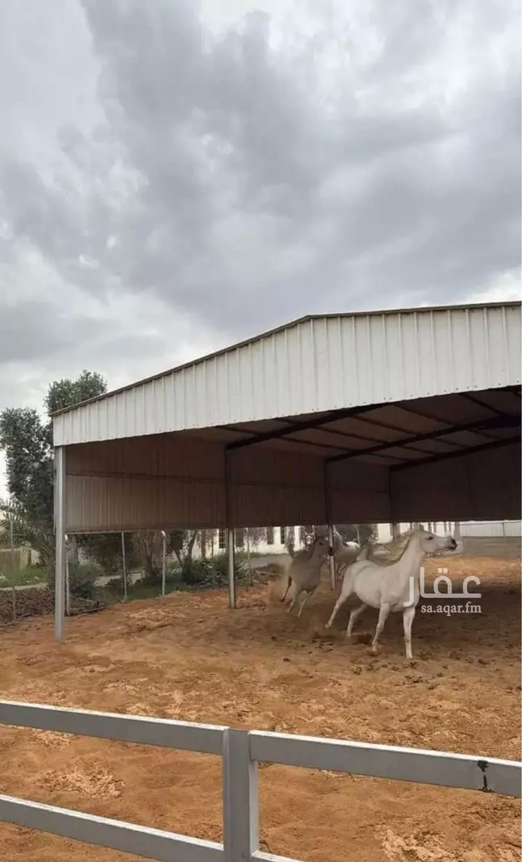 مزرعة للحجز في شارع المليداء 2224 ، بريدة ، بريدة صورة 2