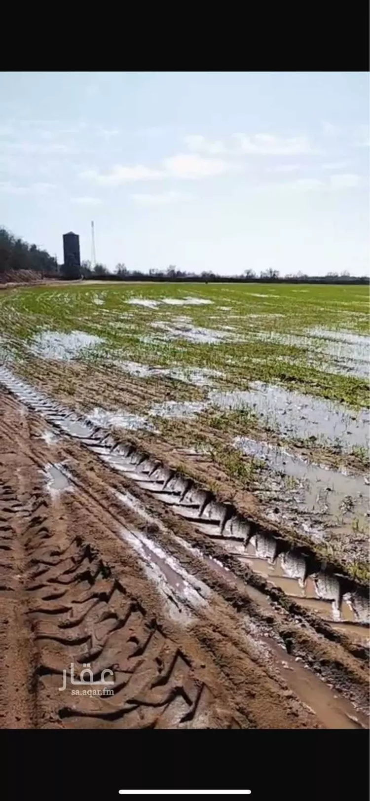 مزرعة للبيع في شارع حمزة بن عبدالمطلب ، حي المصيف الاول ، تبوك ، منطقة تبوك صورة 2