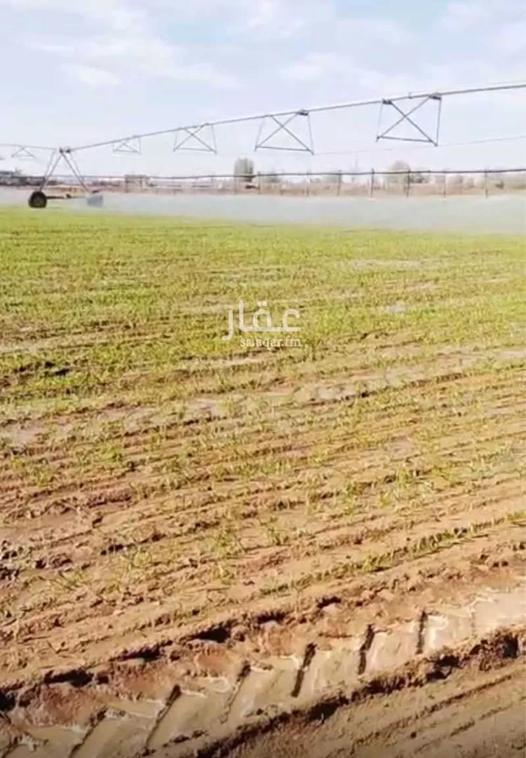 مزرعة للبيع في شارع حمزة بن عبدالمطلب ، حي المصيف الاول ، تبوك ، منطقة تبوك