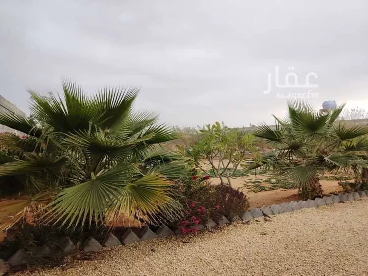 استراحة للإيجار في شارع 24148099, حي القطار, مدينة الخرج, منطقة الرياض 6