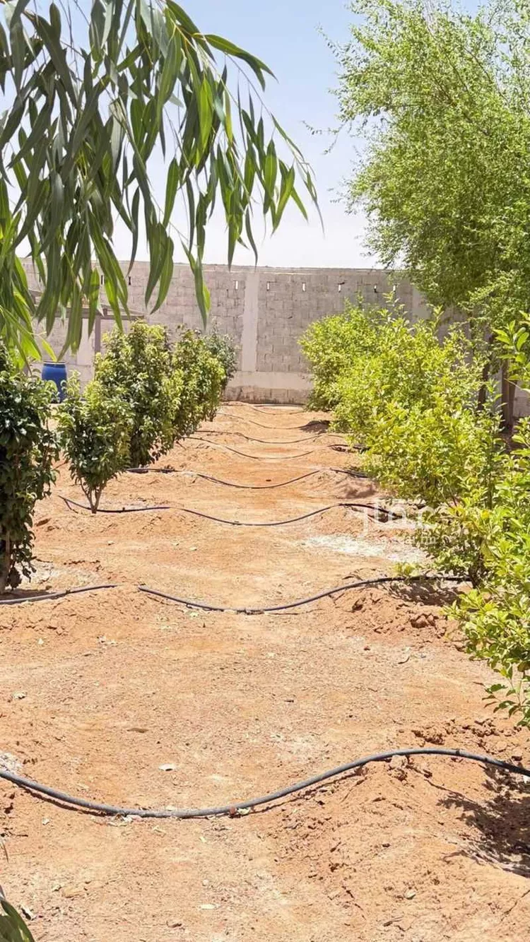 مزرعة للبيع في حي مخطط رقم 0941, مدينة الجلة, منطقة الرياض 19