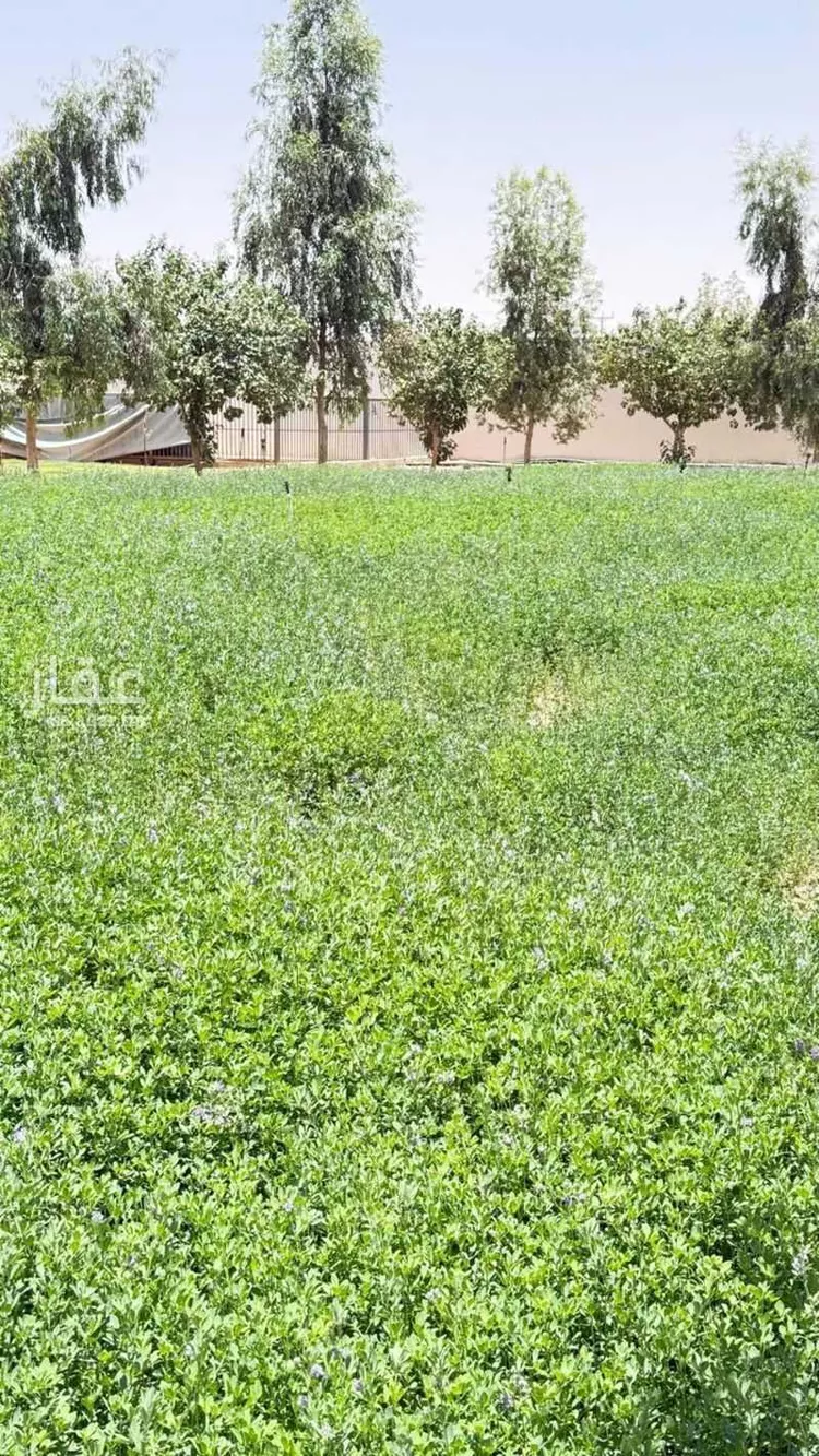 مزرعة للبيع في حي مخطط رقم 0941, مدينة الجلة, منطقة الرياض 21