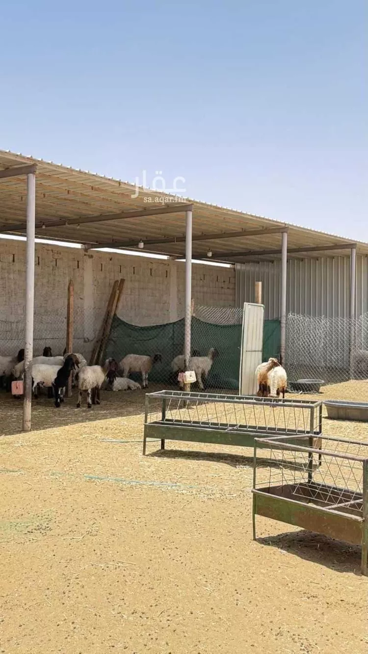 مزرعة للبيع في حي مخطط رقم 0941, مدينة الجلة, منطقة الرياض 28