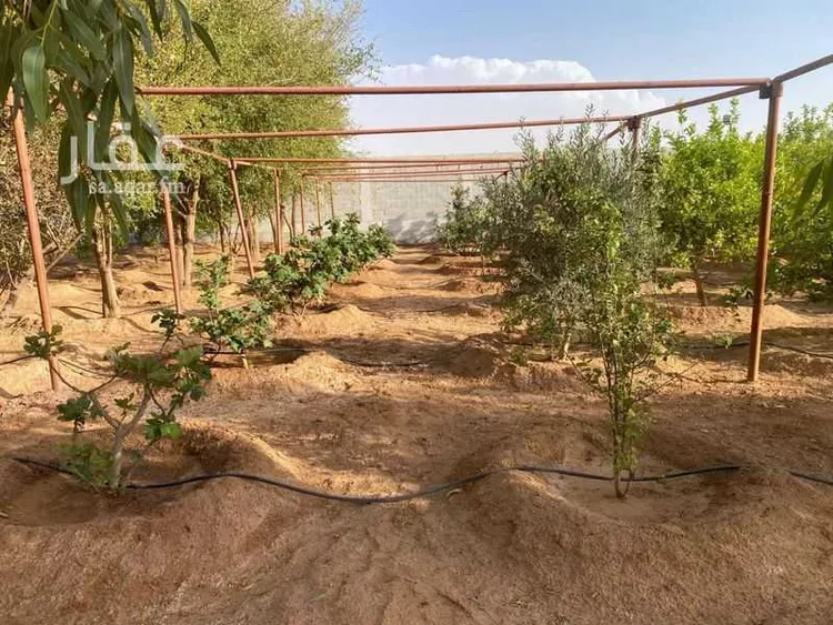 مزرعة للبيع في حي مخطط رقم 0941, مدينة الجلة, منطقة الرياض 13
