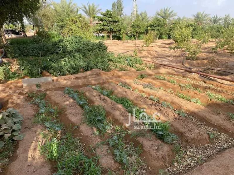 مزرعة للبيع في حي مخطط رقم 0941, مدينة الجلة, منطقة الرياض 8