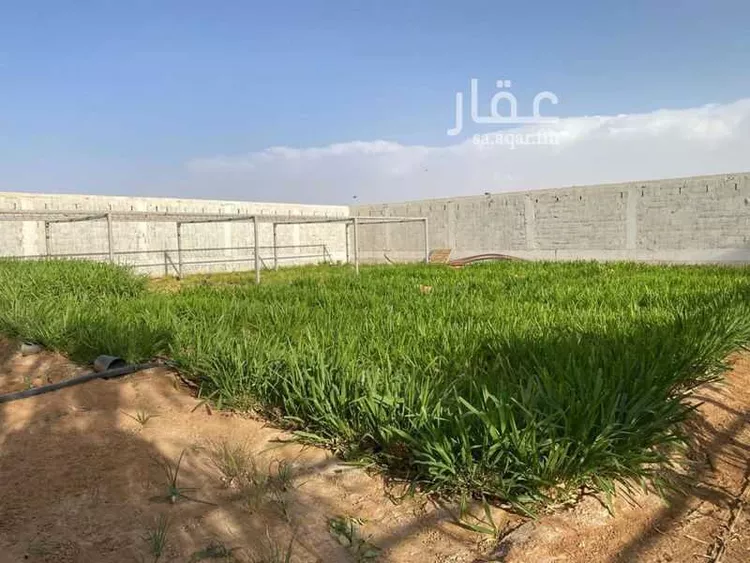 مزرعة للبيع في حي مخطط رقم 0941, مدينة الجلة, منطقة الرياض 11