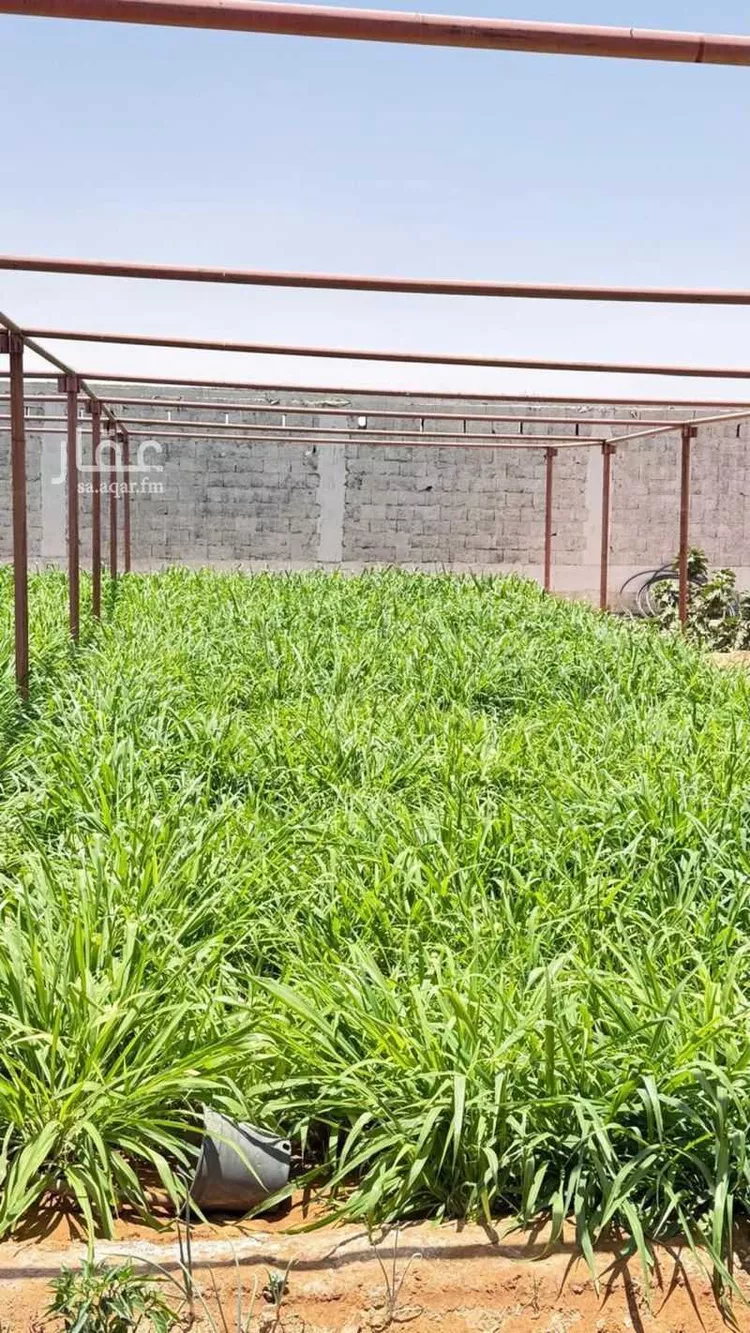 مزرعة للبيع في حي مخطط رقم 0941, مدينة الجلة, منطقة الرياض 25