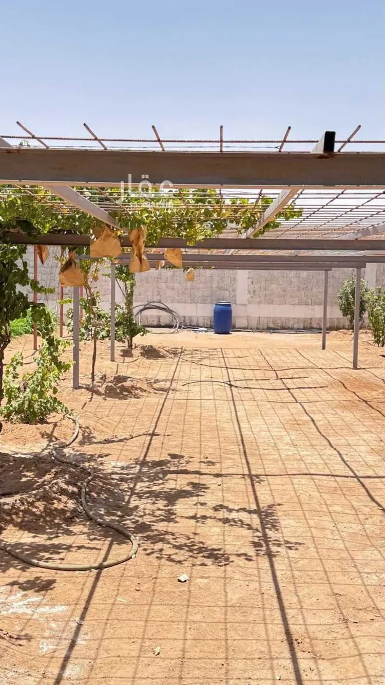 مزرعة للبيع في حي مخطط رقم 0941, مدينة الجلة, منطقة الرياض 22