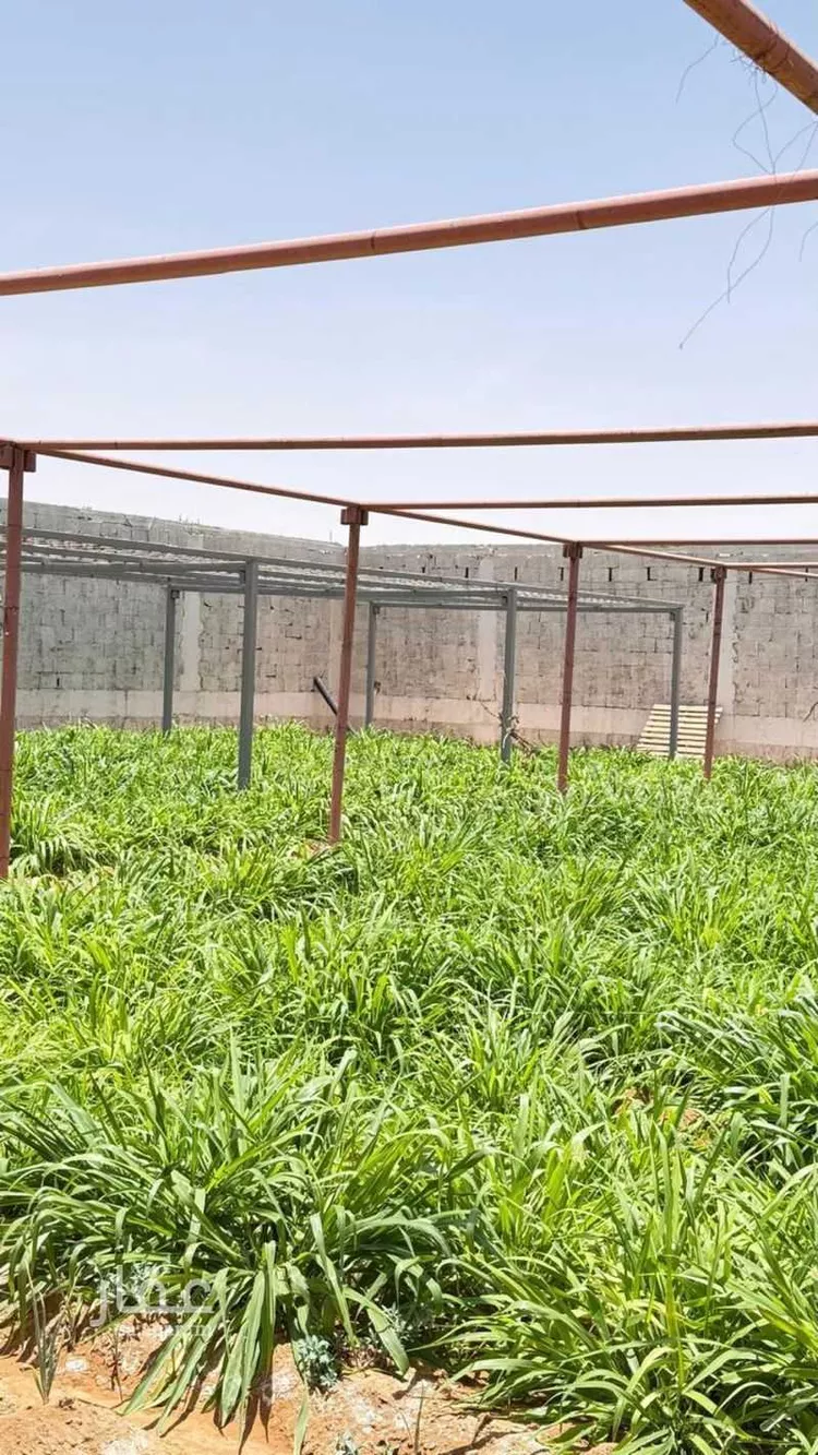 مزرعة للبيع في حي مخطط رقم 0941, مدينة الجلة, منطقة الرياض 24