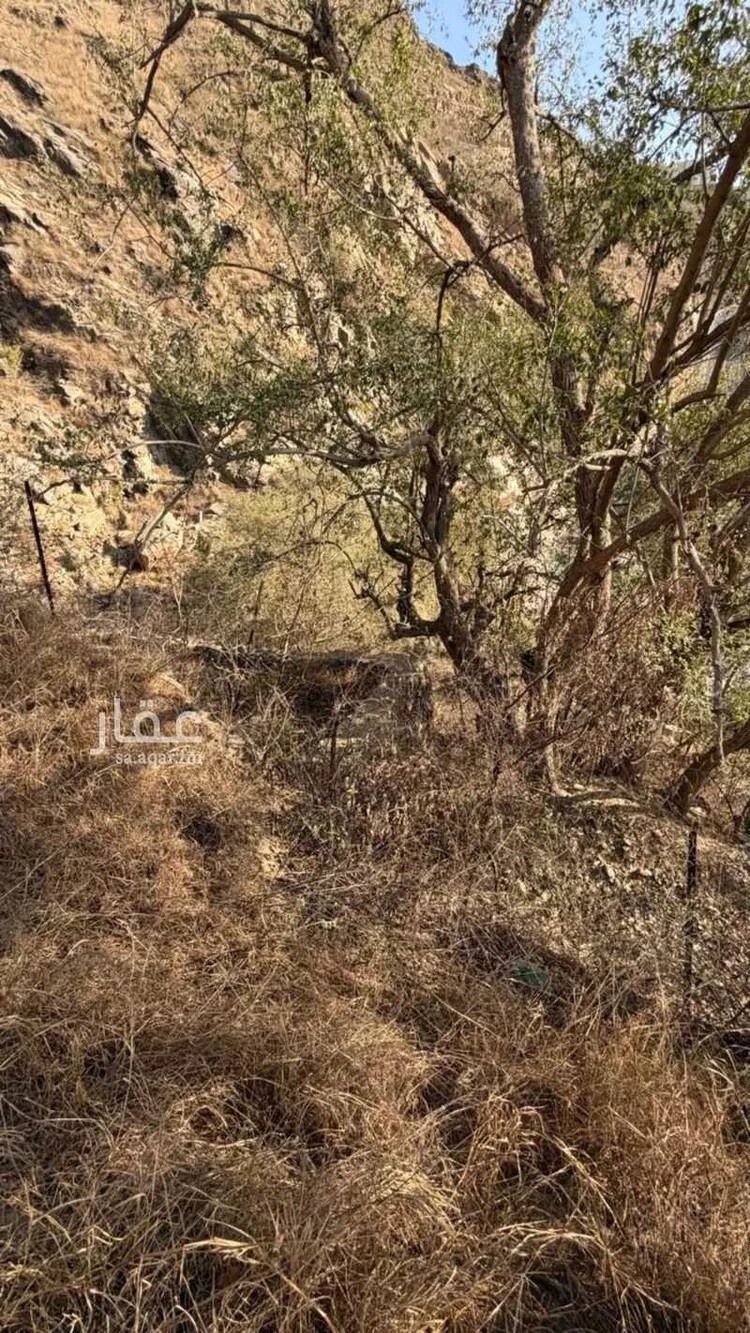 أرض للبيع في شارع الثواهر 935 ، الدائر ، الدائر صورة 4